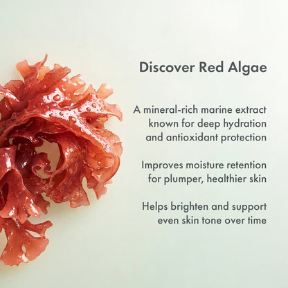 Salm Skin Pore Perfect Calming Toner