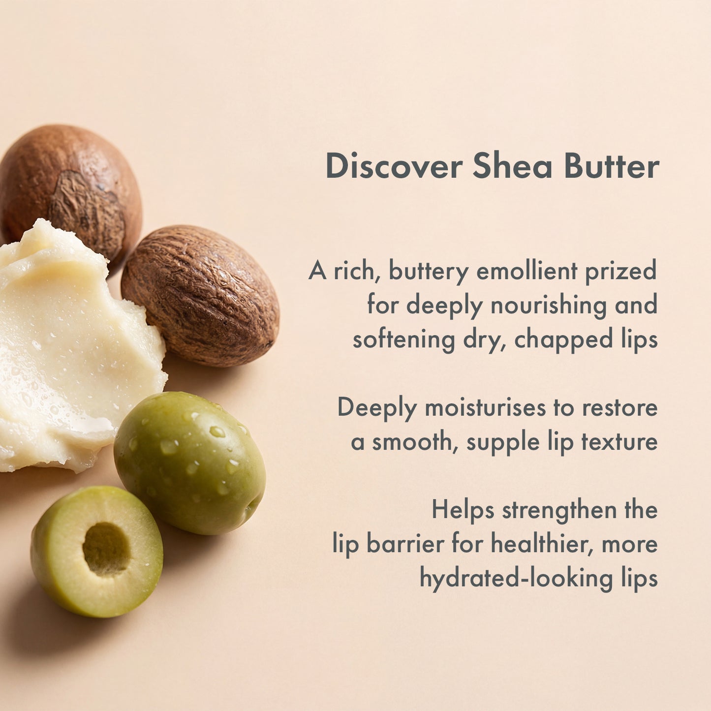 Salm Skin Lip Glaze Savanna Truffle